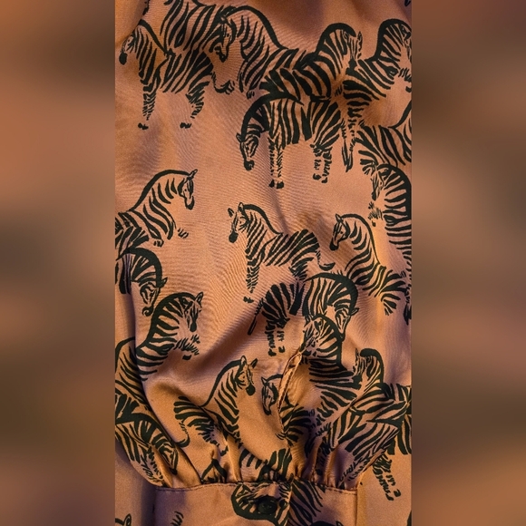 Zara Zebra Print Dress - size small - Picture 7 of 11